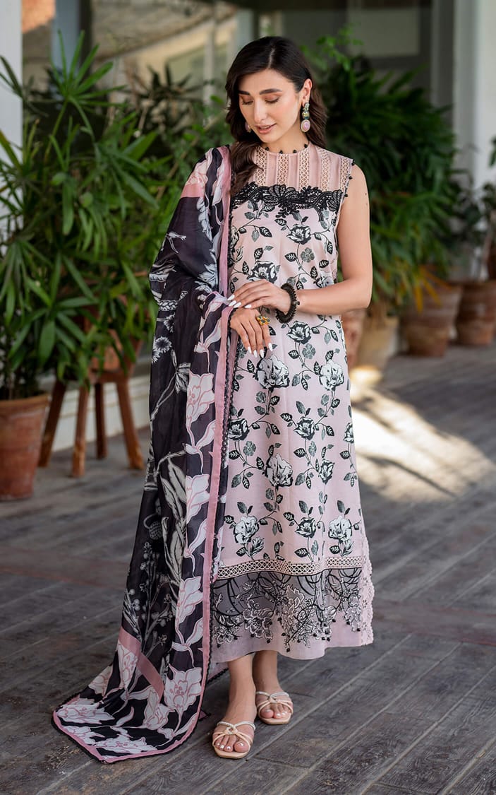 Asifa & Nabeel 3Pc Embroidered Lawn Collection Printed Chiffon Dupatta